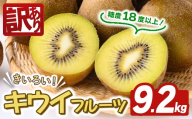 ＜先行予約受付中！2026年10月以降順次発送予定＞【訳あり】茨城県産 黄色いキウイ 9.2kg 訳あり 訳アリ キウイ キウイフルーツ 果物 フルーツ 青果物 先行予約【こばしファーム】【ho1650】