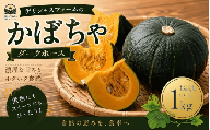 かぼちゃ 【デリシャスファームのかぼちゃ】ダークホース お試し！ 小玉 1キロ  ※6月頃より順次発送予定  / 産地直送 カボチャ 南瓜 【delf051】