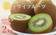 【2026年先行予約】キウイ バラ詰め 2kg  小玉サイズ限定 農園直送 先行予約 【10月中旬から順次発送予定】 キウイフルーツ 愛媛 数量限定  伊予市｜A127