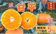 【2027年先行予約】みかん 甘平 5kg 3Lサイズ 贈答用 バラ詰め 【2027年2月上旬から順次発送予定】 農園直送 愛媛 数量限定 愛媛県産 人気 柑橘 伊予市｜C185