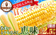 まちなが家族農園の太良町産あまいとうもろこし ～恵味(めぐみ)～ 2.5kg 【2026年6月上旬～下旬発送予定】トウモロコシ とうもろこし あまい 新鮮 コーン 野菜 やさい サラダ 生野菜 焼きとうもろこし BBQ キャンプ 弁当 佐賀県 太良町 N275