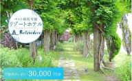 ホテルベルヴェデーレ 宿泊クーポン 30,000円分 宿泊チケット リゾートホテル 和歌山 紀南 南紀 観光【iki110】