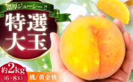 【先行予約 2026年8月中旬から8月下旬に順次発送】桃 贈答 特選 大玉 黄金桃 2キロ（6～8玉入り）/ もも モモ くだもの 果物 ギフト 恵那市 / 馥郁農園 [AUCK009]