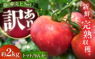 【先行予約】【7月中旬から10月下旬までに順次発送】【訳あり】 トマト 約2キロ / とまと 野菜 果物 訳アリ 恵那市 / 馥郁農園 [AUCK013]