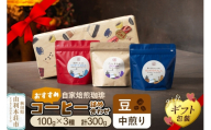 【豆／中煎り】自家焙煎珈琲 おすすめコーヒー詰め合わせ 300g（100g×3袋）＜ギフト包装＞ [珈琲 コーヒー 豆 自家焙煎 中煎り ギフト 贈り物 プレゼント 熨斗 詰め合わせ 詰合せ 飲料 ドリンク 珈琲豆専門彩豆]