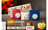 【粉／中深煎り】自家焙煎珈琲 おすすめコーヒー詰め合わせ 300g（100g×3袋）＜ギフト包装＞ [珈琲 コーヒー 粉 自家焙煎 中深煎り ギフト 贈り物 プレゼント 熨斗 詰め合わせ 詰合せ 飲料 ドリンク 珈琲豆専門彩豆]