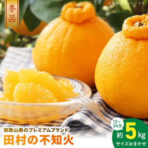 AB7433_【2027年先行予約】和歌山有田 田村の不知火(田村デコ) 秀品 12～24玉 2628361 - 和歌山県湯浅町