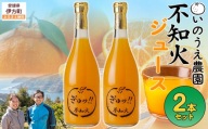 いのうえ農園 不知火ジュース2本セット ※離島への配送不可  【ふるさと納税 人気 おすすめ ランキング 柑橘 みかん ミカン 蜜柑 ジュース ミカンジュース みかんジュース 不知火 不知火ジュース フルーツ 果物 産地直送 いのうえ農園 愛媛県産 愛媛県 伊方町 送料無料】 IKTAI015