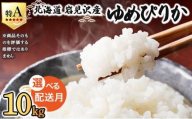 令和7年産 ＜8月配送＞ 山下商店ゆめぴりか 10kg | 北海道岩見沢産 ゆめぴりか 米 白米 お米 岩見沢市【a164-004-08】