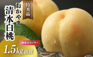 白桃 清水白桃 特秀品 1.5kg前後 桃 糖度センサー momo27 / 清水白桃 贈答 お中元 ギフト 産直 高級 フルーツ 果物 くだもの プレゼント 【配送不可地域：北海道／沖縄県／離島】 【jujy072-01】