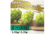 ＜2026年先行予約開始!＞長野県中野市産シャインマスカット 計1.0～1.2kg(2～3房)【1682420】