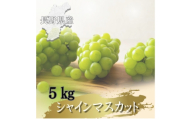 ＜2026年先行予約開始!＞長野県中野市産シャインマスカット 5kg(8～12房)【1682422】