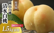 岡山白桃 清水白桃 特秀品 1.5kg前後 4-6玉 糖度センサー 糖度12度 momo46 / 清水白桃 贈答 お中元 ギフト 産直 高級 フルーツ 果物 くだもの プレゼント 【配送不可地域：北海道／沖縄県／離島】 【jujy073-01】