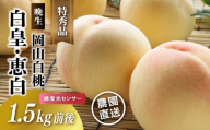 岡山白桃 白皇・恵白（晩生） 特秀品 1.5kg前後 糖度センサー momo65 / 白桃 贈答 お中元 ギフト 産直 高級 フルーツ 果物 くだもの プレゼント 【配送不可地域：北海道／沖縄県／離島】 【jujy074-01】