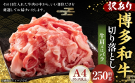 訳あり！ 博多和牛A4ランク以上 切り落とし 約250g 赤身 バラ肉 切り落とし 夕食 炒め物 お肉 肉 ニク にく 牛肉 牛 博多和牛 和牛 バラ 牛肩 肉料理