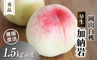 岡山白桃 （早生／ 加納岩） 秀品 1.5kg前後 4～6玉 momo40 / 白桃 贈答 ギフト 産直 高級 フルーツ 果物 くだもの プレゼント 【配送不可地域：北海道／沖縄県／離島】 【jujy077-01】