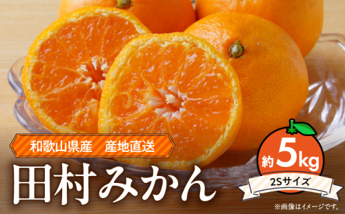 ZE6486_【2026年先行予約】和歌山 湯浅町産 田村みかん 約5kg【2Sサイズ】 2628795 - 和歌山県湯浅町