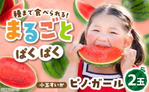 スイカ ピノガール 2玉 吉野ヶ里町 / MEISHO FARM [FDZ009] 2628797 - 佐賀県吉野ヶ里町