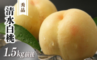 清水白桃 秀品 1.5kg前後 4～6玉 momo02 / 白桃 贈答 お中元 ギフト 産直 高級 フルーツ 果物 くだもの プレゼント 【配送不可地域：北海道／沖縄県／離島】 【jujy079-01】