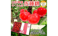 【2026年発送】「秀品」さくらんぼ佐藤錦約500g（L以上・バラ詰）_H248(R8)
