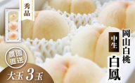 岡山白桃 白鳳 秀品 大玉3玉 momo30 / 白桃 贈答 お中元 ギフト 産直 高級 フルーツ 果物 くだもの プレゼント 【配送不可地域：北海道／沖縄県／離島】 【jujy081-01】
