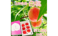 【2026年発送】山形県産 桃（品種おまかせ）約1.6kg（6個）_H249(R8)