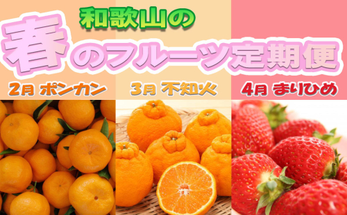 【2月・3月・4月発送】和歌山 春のフルーツ 定期便（ポンカン・不知火・まりひめ）全3回 2628866 - 和歌山県美浜町