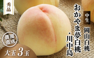 岡山白桃 おかやま夢白桃・川中島 秀品 大玉3玉 momo48 / 白桃 贈答 お中元 ギフト 産直 高級 フルーツ 果物 くだもの プレゼント 【配送不可地域：北海道／沖縄県／離島】 【jujy083-01】