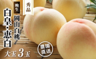 岡山白桃 （晩生／白皇・恵白） 秀品 大玉3玉 momo66 / 桃 白桃 贈答 お中元 ギフト 産直 高級 フルーツ 果物 くだもの プレゼント 【配送不可地域：北海道／沖縄県／離島】 【jujy084-01】