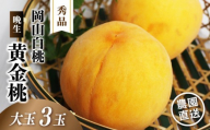岡山白桃 （晩生／黄金桃） 秀品 大玉3玉 momo69 / 黄桃 贈答 ギフト 産直 高級 フルーツ 果物 くだもの プレゼント 【配送不可地域：北海道／沖縄県／離島】 【jujy085-01】