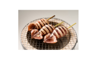 いか串(ボイルイカ串)12本(約1.2kg)　イカ焼きやBBQに!【1731280】