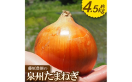 《約4.5kg》藤原農園の泉州たまねぎ　なにわの伝統野菜　サイズ混合【1733145】
