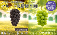 【フルーツ（ぶどう）定期便《秀品以上》】シャインマスカット（１kg以上・２房）＋ ＢＫシードレス（１kg以上・３房）　【2026年発送分 先行予約】- FUJIKAWA GRAPES -