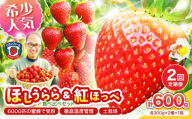 【2027年1月～5月発送予定】希少品種 ほしうらら と 紅ほっぺ の食べ比べセット 約600g（約300g×各種1パック×1箱）2ヶ月定期便【配送不可地域：北海道・沖縄・離島】【121D-014-2027】