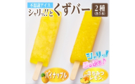 シャリッ!!と葛バー2種セット(パイナップル・はちみつレモン　各5本　計10本)【1734398】