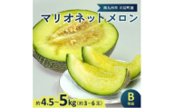 南九州市産マリオネットメロンB等級 約4.5～5kg【1738464】