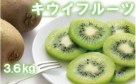 和歌山県産 厳選!キウイフルーツ  24～36玉　(約3.6kg)【2027年１月上旬～３月上旬頃に順次発送予定】