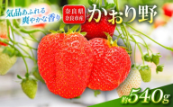 いちご かおり野 約540g 1パック約270g 2パック 2027年発送 鶏冠果 サイズ混合 不揃い 数量限定 冷蔵 イチゴ 苺 フルーツ 果物 旬 産地直送 小分け ブランドいちご 甘い おすすめ おいしい 贈答 プレゼント ギフト ふるさと納税いちご 芳醇ないちご 奈良県 奈良市 いちご農家だるま