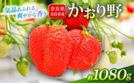 いちご かおり野 約1080g 1パック約270g 4パック 2027年発送 鶏冠果 サイズ混合 不揃い 数量限定 冷蔵 イチゴ 苺 フルーツ 果物 旬 産地直送 小分け ブランドいちご 甘い おすすめ おいしい 贈答 プレゼント ギフト ふるさと納税いちご 芳醇ないちご 奈良県 奈良市 いちご農家だるま