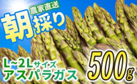 会津産アスパラガス　L～2Lサイズ　500g　【07208-0838】