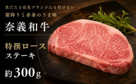 奈義和牛 特撰 ロース ステーキ 300g / ロース ステーキ 牛肉 牛 和牛 なぎビーフ 冷凍 奈義町 岡山県産 国産牛 国産 [mtsy004]