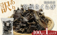 【訳あり】福島県産 乾燥きくらげ100g×1パック きくらげ 木耳 キクラゲ 肉厚 国産 食品 F4D-2583