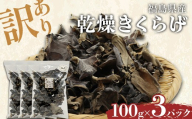 【訳あり】福島県産 乾燥きくらげ100g×3パック きくらげ 木耳 キクラゲ 肉厚 国産 食品 F4D-2585