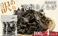 【訳あり】福島県産 乾燥きくらげ100g×4パック きくらげ 木耳 キクラゲ 肉厚 国産 食品 F4D-2586