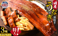 【父の日企画　6月19日お届け】【化粧箱】ふっくら肉厚！国産うなぎ蒲焼き 3尾セット (計450g) うなぎ 蒲焼き 国産うなぎ 鰻 土用の丑の日 冷凍うなぎ 真空パック 宮城県 塩竈市 三波食品 | nh00004-k