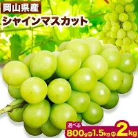 シャインマスカット 選べる 800g 1.5kg 2kg【配送不可地域あり】 花田青果株式会社《9月上旬-10月末頃出荷》マスカット 送料無料 岡山県 浅口市 シャインマスカット ぶどう フルーツ 果物 贈り物 ギフト 2629524 - 岡山県浅口市