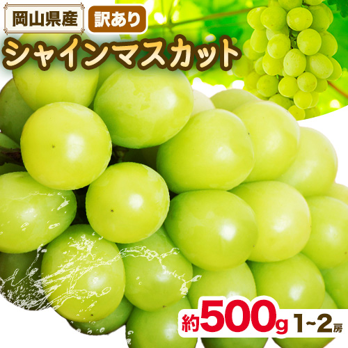 シャインマスカット訳あり 約500g(1～2房)【先行予約】 花田青果株式会社《9月上旬-10月末頃出荷》マスカット 送料無料 岡山県 浅口市 シャインマスカット ぶどう フルーツ 果物 贈り物 ギフト【配送不可地域あり】 2629526 - 岡山県浅口市