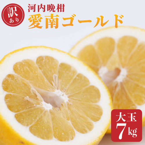 訳あり  愛南ゴールド 大玉 7kg 河内晩柑 柑橘 フルーツ 果物 蜜柑 みかん くだもの 家庭用 傷 不揃い  サイズミックス かわち ばんかん 和製 グレープフルーツ デザート甘い ジューシー 特産品 国産 農園 直送 愛媛県 愛南町 和家農園 2629596 - 愛媛県愛南町