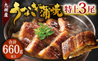 九州産 うなぎ 蒲焼 特上 3尾 計660g以上 (1尾あたり220～235g)【2026年9月発送】