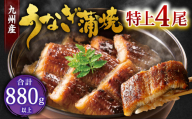 九州産 うなぎ 蒲焼 特上4尾 計880g以上 (1尾あたり220～235g)【2026年9月発送】
